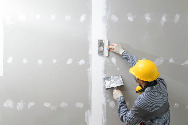 Best Drywall Installation  in Yuma, AZ